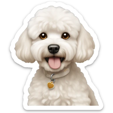 Apricot cockapoo and white bichon frise sticker