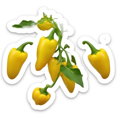 yellow Capsicum chinense Jacq yummy sticker