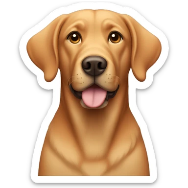 a labrador with ginger color fur and floppy ears  sticker