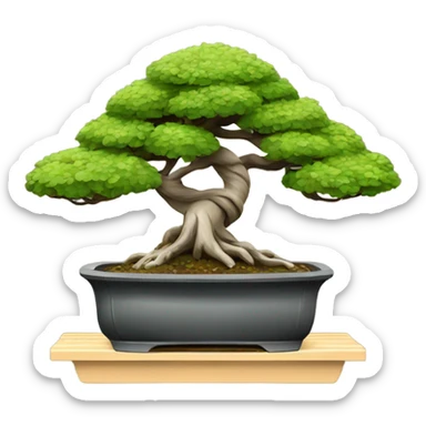 A bonsai sticker