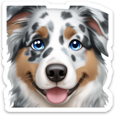 Blue Merle Australian shepherd with blue eyes sticker