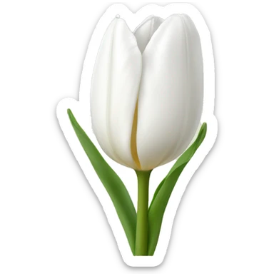 White tulip sticker