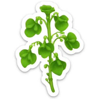 bells of ireland plant sticker