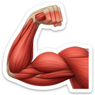 muscle sticker