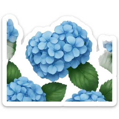 Blue hydrangeas  sticker