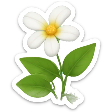 jasmins flowers with leafs sticker