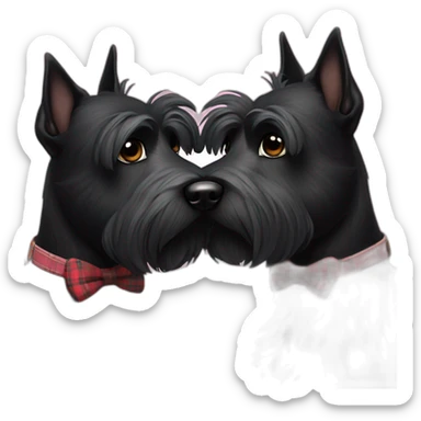 Senior Two black Scottish terrier kissing sticker