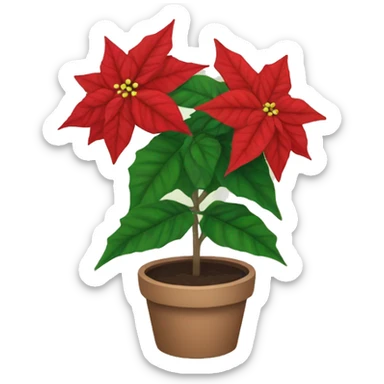 Poinsettia  sticker