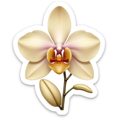 orchid flower, light beige color, no leaves, one piece only sticker
