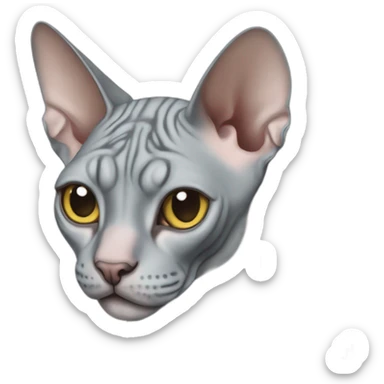 Gray sphynx cat sticker