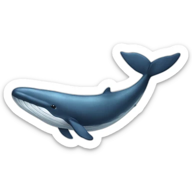 whale sticker