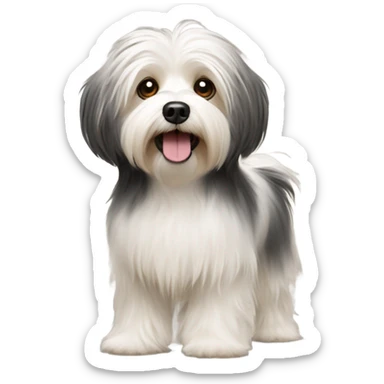 havanese dog walk hair down to the floor sticker