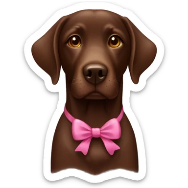 chocolate lab with a bow sticker