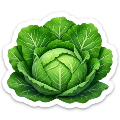 cabbage leaf   sticker