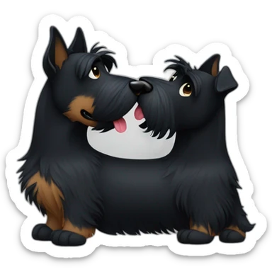Two black Scottish terrier kissing one male one female sticker