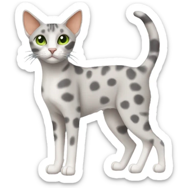Short-haired oriental cat ,full body , grey coat with spots , green eyes , terracotta nuzzle sticker