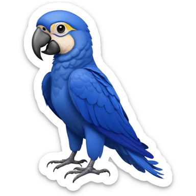 Hyacinth Macaw, full body sticker