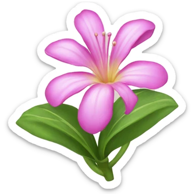 hawaii flower sticker