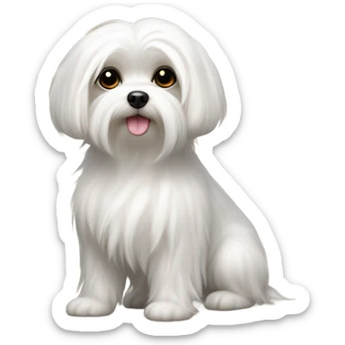 maltese dog sticker
