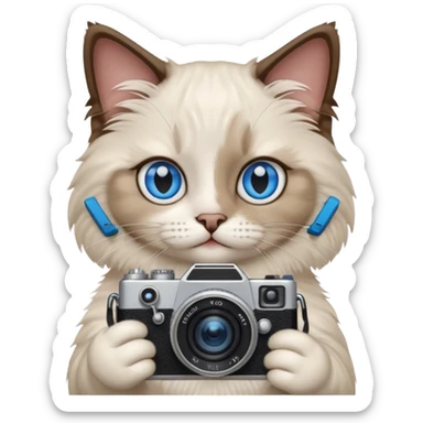 Ragdoll cat holding camera  sticker