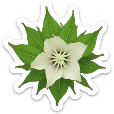 datura weed sticker
