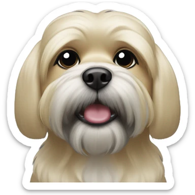 Blonde shitzu with dark gray mouth sticker