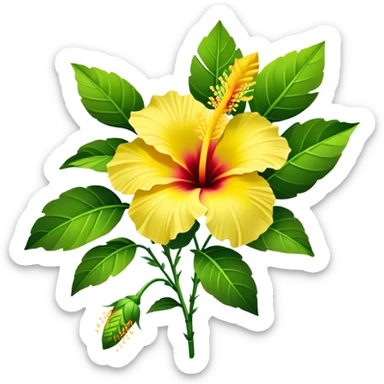 bouquet yellow Hawaiian hibiscus, luxuriant, stem, leaf, bud sticker