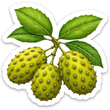 Morinda citrifolia noni fruit, bumpy oval greenish-yellow fruit with a few leaves sticker