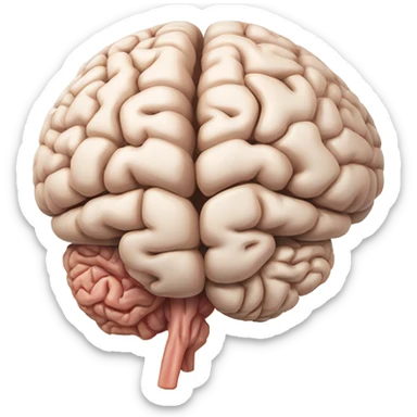 brain medical image sticker