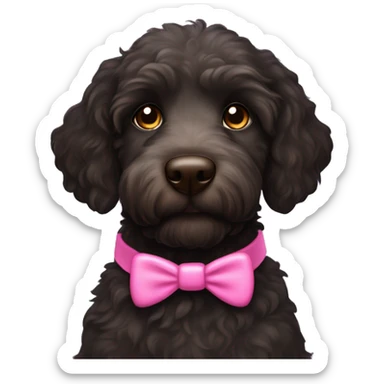 Black labradoodle female dog with brown eyes and a pink collar on with the name Bonnie sticker
