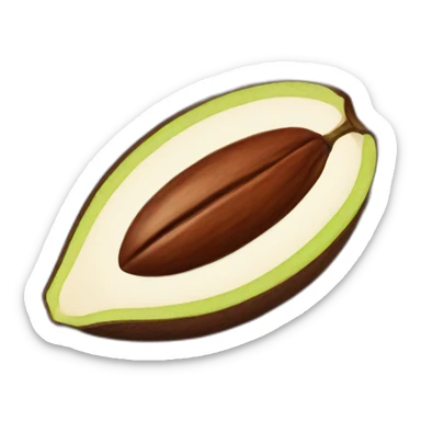 cacao bean sticker