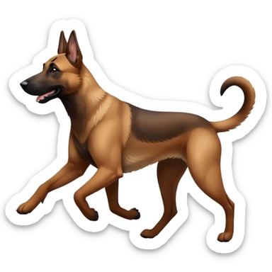 Adult malinoi run sticker