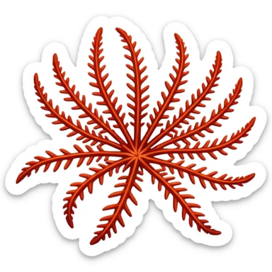 feather star sticker