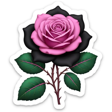 A black rose with a pink bow sticker