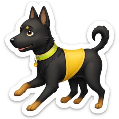 black dog running wearing yellow collar sticker