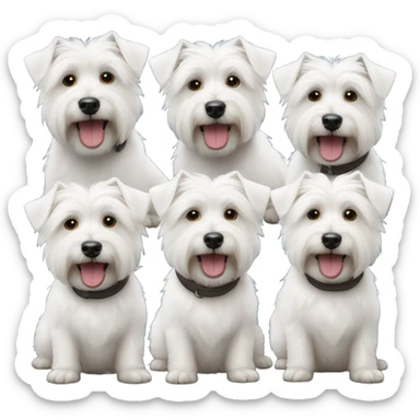 White westies  sticker