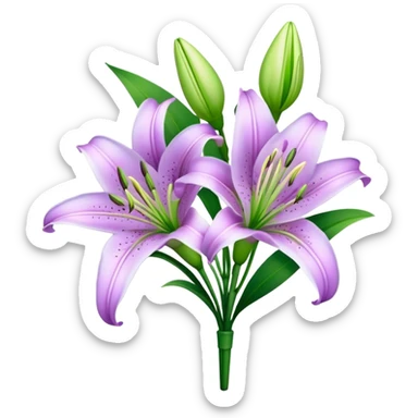 bouquet Light Purple Lily, luxuriant, stem, leaf, bud sticker