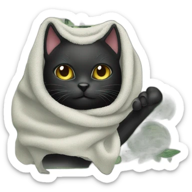 black cat with a towel on his head and a dollar bill sticker