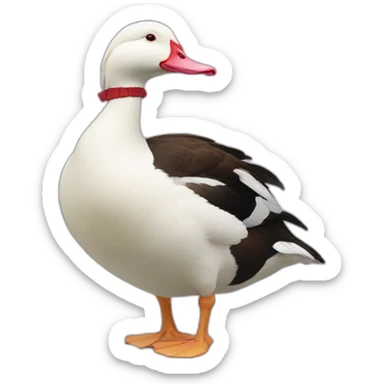 Muscovy Duck sticker