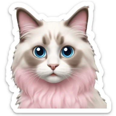ragdoll cat pink sticker