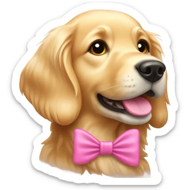 Golden retriever with pink bow  sticker