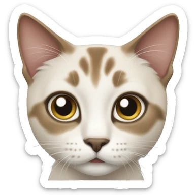 Cat burma run sticker