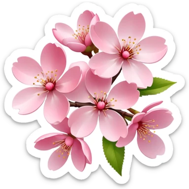 Cherry blossom sticker