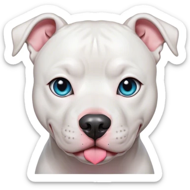 White pit Bull dog with two different colored eyes sticker