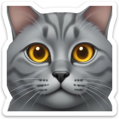 British grey cat with big beautiful amber eyes sticker