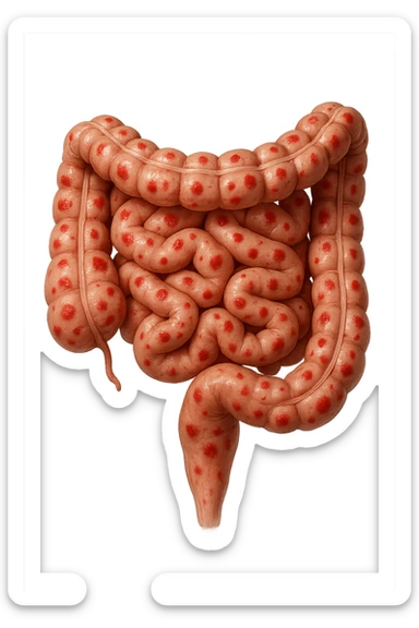 intestino umano anatomico CON RED SPOT SPARSI
IPERREALISTICO 4K sticker