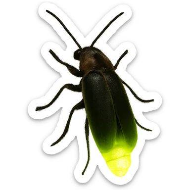 a green glow bug, realistic, glowing, soft light sticker