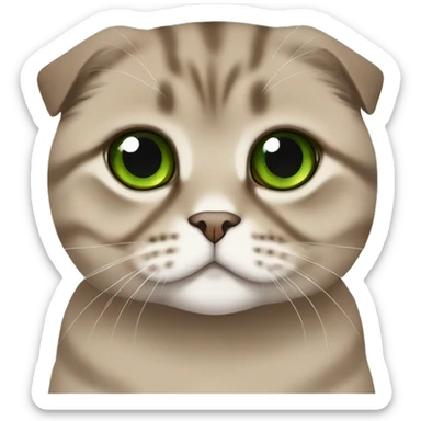 Brown scottish fold with green eyes  sticker