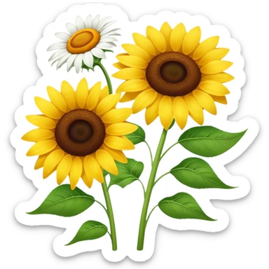 Sunflower and daisy sticker