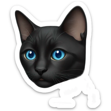 a black cat with bule eyes sticker